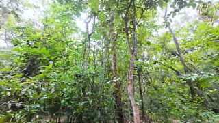 Thai Girl’s Forest Stroll Turns into a Wild Fuck Before Mushroom Picking – Raw Thai Moans in 4K