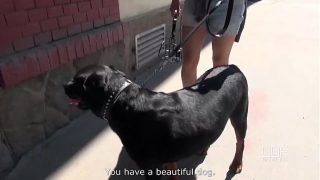 Outdoor throatpie for Alexis Cherry as she gulps down a messy facial