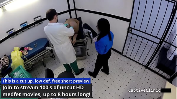 Paw-sitively Naughty: What’s TSA Doing to Kitty Catherine?