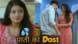 Wife ki chudai ki kahani in Hindi || Good wife webseries ka sexy review.